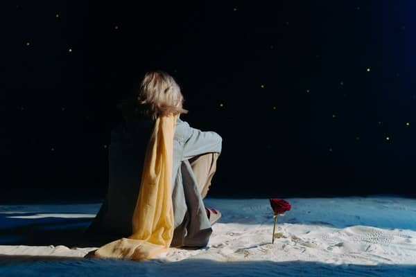 Little Prince